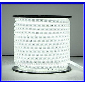 Mua Đèn led dây 2835 2 hàng bóng Màu Trắng loại tốt (không kèm nguồn)