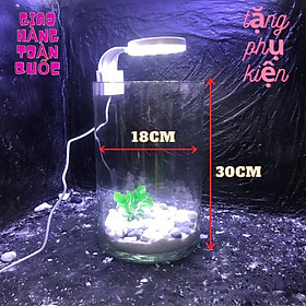 Bể cá mini để bàn kèm phụ kiện tiểu cảnh có hồ lọc đèn