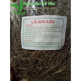 Mua Cây cà gai leo - đạt chuẩn GACP - WHO