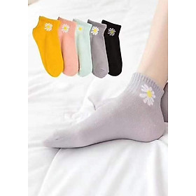 Combo 5 vớ nữ hoạ tiết hoa cúc phong cách - màu ngẫu nhiên