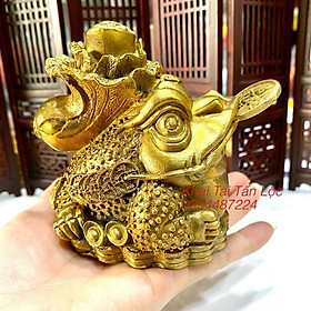Mua Thiềm thừ - cóc vàng cõng bắp cải chiêu tài bằng đồng