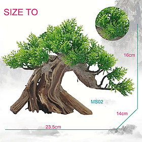 Gỗ Lũa Bonsai Lớn 235x120x160mm Trang Trí Bể Cá, Tiểu Cảnh, Thủy Sinh Đẹp MS02