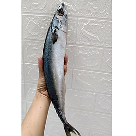 [Chỉ giao HN] - Cá Nục Nhật Nguyên con -  1kg