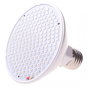 Đèn LED Búp Sen (E27)