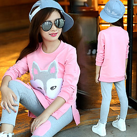 Set Áo Dài Tay In Hình Động Vật Kèm Quần Cho Bé Gái