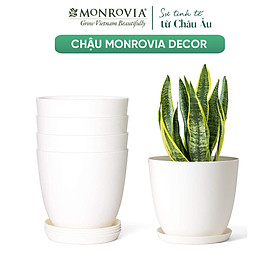 Chậu cây để bàn MONROVIA cho hoa, cây cảnh, ban công, bonsai