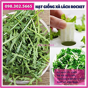 2g Hạt giống rau xà lách rocket, rau arugula F1 cao sản