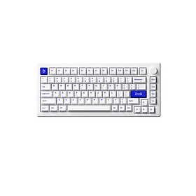 Mua Bàn phím cơ AKKO MOD007 PC Blue on White (Hotswap / Gasket Mount / Clacky / Mạch Xuôi) - Hàng Chính Hãng