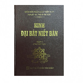 Kinh Đại Bát Niết Bàn