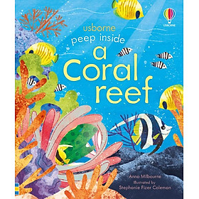Sách tương tác thiếu nhi tiếng Anh : Peep Inside A Coral Reef - Usborne Publishing Ltd
