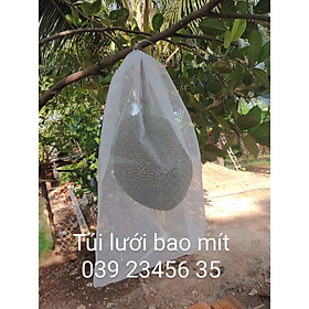 Mua 100 Túi Lưới Tốt Bao Bọc Mít Thái Kích Thước 50*70cm - Túi Bọc Trái Cây