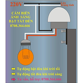 Cảm biến ánh sáng 220V