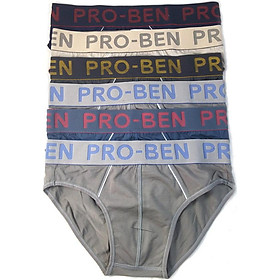 Combo 06 quần lót nam Pro Ben bảng lớn MS949 