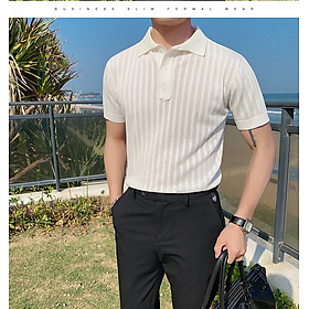 Áo polo nam Hàn Quốc, áo phông cổ bẻ PL02, vải lụa dệt kim cao cấp