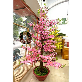 Mua Cây Hoa Đào Nhựa Cao 1m65 Chậu Hoa Đào Giả Trang Trí Tết
