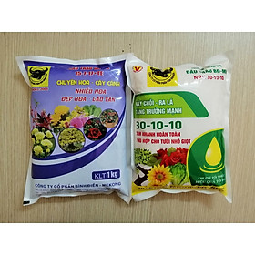 COMBO PHÂN BÓN HỖN HỢP ĐẦU TRÂU BĐ-MK NPK 30-10-10 NẢY CHỒI, RA LÁ GÓI 1KG + PHÂN BÓN ĐẦU TRÂU BĐ-MK 15-7-17+TE CHUYÊN HOA CÂY CẢNH, NHIỀU HOA, ĐẸP HOA GÓI 1KG