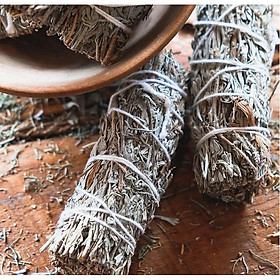 Mua (Bó dài khoảng 12cm)- Blue Sage/ Xô thơm xanh/ Thảo mộc xông nhà