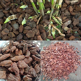 3KG VỎ THÔNG XAY TRỒNG LAN M ORCHIDS BARK ĐÃ QUA XỬ LÝ