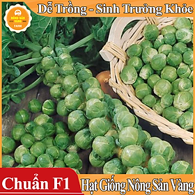 Mua Hạt giống Bắp Cải Tí Hon Xanh ( Gói 100 hạt ) - Nông Sản Vàng