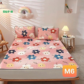 Mua (RẺ VÔ ĐỊCH) Chiếu điều hoà cao su non nhiều hoạ tiết xinh xắn