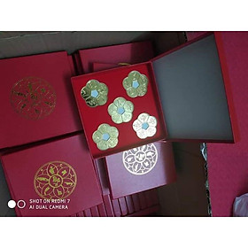 Mua Hộp 5 đồng tiền hoa mai làm quà tặng ý nghĩa