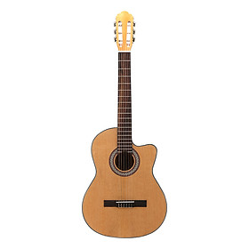 Đàn Guitar Classic Rex HGW195C