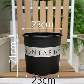 Mua Chậu nhựa trồng cây Vietpot  mã 02  màu đen  hoa văn MONTARIO  chính hãƞg  chậu trồng kiểng lá  hoa hồng  trang trí nhà cửa  ban công  sân vườn  sân thượng