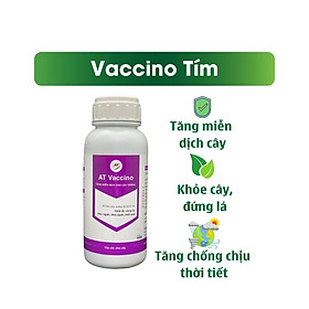 Chế Phẩm Đặc Trị Bệnh Xì Mủ, Thối Rễ, Thán Thư, Sương Mai, Nấm Hồng