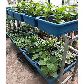 Mua khung kệ sắt trồng rau sạch  2 tầng cho 10 khay trồng rau kích thước khay R43cm x D 67cm ( kệ ko bao gồm chậu)