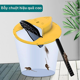 Mua COMBO 2 Bẫy Chuột Tự Động Bập Bênh Siêu Nhạy Thiết Kế Nắp Lật Có Thể Tái Sử Dụng
