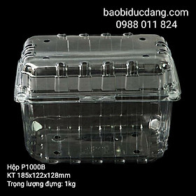 Mua 10 hộp đựng hoa quả 1kg + 10 hộp đựng hoa quả 1 5kg