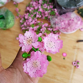 Mua 1kg Hoa mai đào - Hoa giả