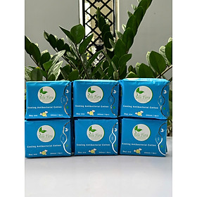 Bộ Băng Vệ Sinh Belle Flora Cotton Ban Ngày - combo 6 gói