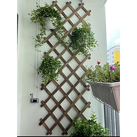 Mua Giàn treo cây đa năng treo cây cảnh ban công kích thước 200x60cm hiện đại decor ban công sân vườn