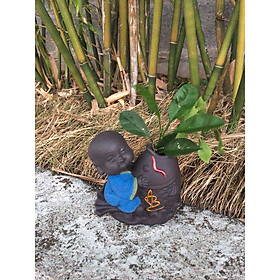 tượng chú tiểu cưới cá chép trồng cây chữ An