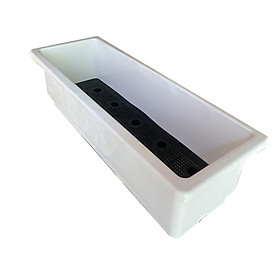Chậu nhựa trồng rau sạch