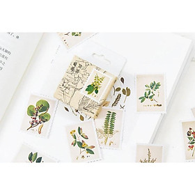 Bộ 46 Sticker Hàn Quốc hình Cây Cỏ dán trang trí E26