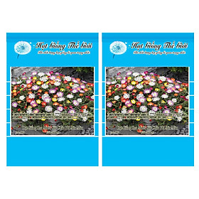 Bộ 2 Gói Hạt Giống Hoa Mười Giờ Châu Phi - Mix Màu (Mesem) 200h