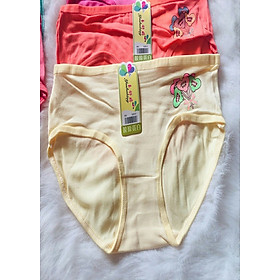 Combo 10 quần chíp quần lót tam giác trẻ em hình ngẫu nhiên 01 (Từ 25 đến 35kg)