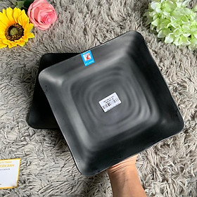 Mua Dĩa nhựa DV 118 nhám đen