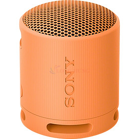 Loa Bluetooth Sony SRS-XB100 - Hàng chính hãng - Cam