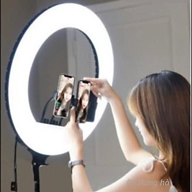 Mua Đèn livestream size 54cm siêu to sáng nhất chân to nặng bền