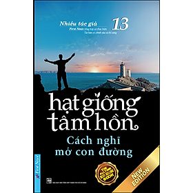 Hạt Giống Tâm Hồn 13  (Tái Bản)