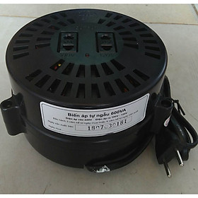 Mua Bộ đổi nguồn 220v sang 100v - 120v lioa 600va