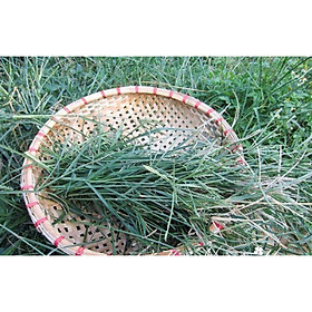 500gr Cỏ mần trầu khô sạch nhà làm