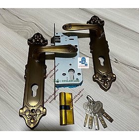 Bộ khóa tay gạt cửa gỗ màu rêu vàng T99 KSAITE Giá tốt