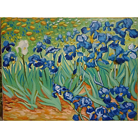 Mua Tranh Sơn Dầu Vẽ Tay 30x40cm - Hoa Diên Vĩ