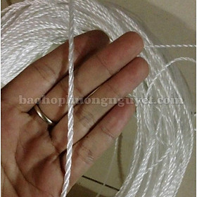 Mua 1kg Dây Cước  Dây Buộc Giàn Leo  Dây Treo Trái  Treo Nông Nghiệp