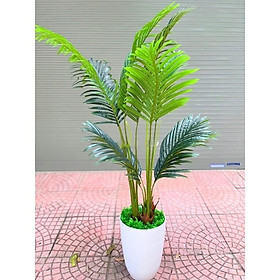 Mua Cây dừa giả cảnh - cao 170cm - Cây giả  hoa lụa Decor trang trí nhà cửa