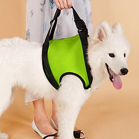dog tail sling
